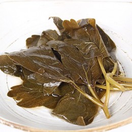 방풍장아찌 1kg